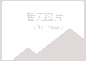 鲁山县女孩土建有限公司